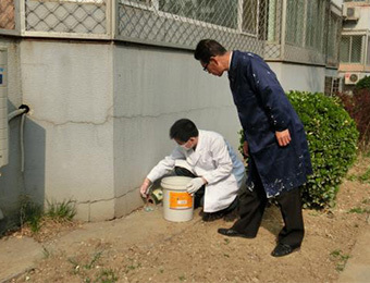 重庆市绿洁有害生物防治